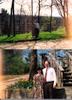 Old Family Picture Book 38.jpg